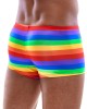 Herren Pants Rainbow XL