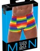 Herren Pants Rainbow XL